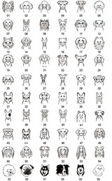 Customized Dog  ID Tags