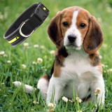 Outdoor Light Reflective Puppy Collar Nylon Pet