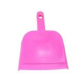 Pet Sweeper Small Broom Set