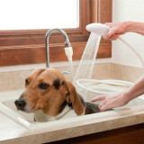 Pet Hose Portable Shampoo Head Sprayer