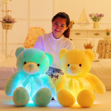 50cm LED Teddy Bear
