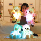 50cm LED Teddy Bear