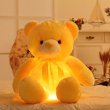 50cm LED Teddy Bear