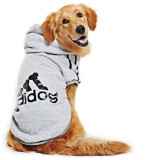Big Dog Hoodie Big Dog Hoodie