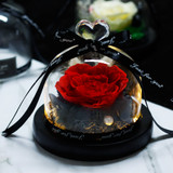 The Beauty and Beast With Night Light in Glass Dome Rose