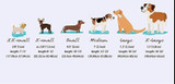 "Petlify Co" Ohana Dog Bow-Tie Collar