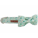 "Petlify Co" Cactus Dog Bow-Tie Collar