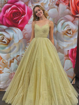 onlybridals Simple v neck tulle long prom dress champagne evening dress