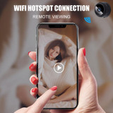Remote Surveillance Camera Recorder