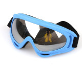 Skiing Goggles