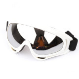 Skiing Goggles