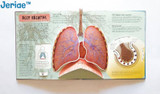 Jeriae™ Anatomy of The Human Body 3D Picture Book