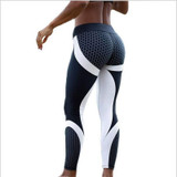 Women Mesh Pattern Print Leggings