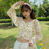 Women Floral Print Pleated Blouses