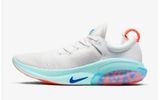 Nike Joyride Platinum