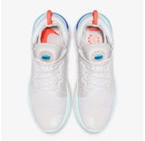 Nike Joyride Platinum