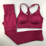 Seamless Yoga Set Women Fitness