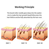 Men's Beard Growth Oil Nourishing Kit