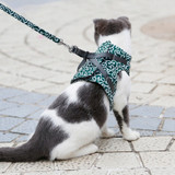 Pet Dog & Cat Vest Outdoor
