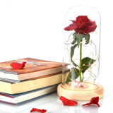 Enchanted Rose Lamps
