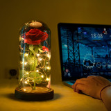 Enchanted Rose Lamps