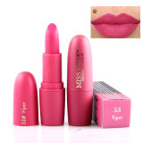 Sexy Lipsticks Beauty Lips Velvet Lip Stick