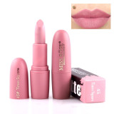 Sexy Lipsticks Beauty Lips Velvet Lip Stick