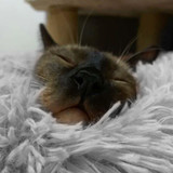 Round Winter Warm Sleeping Beds for Pets Round Winter Warm Sleeping Beds for Pets