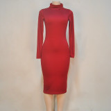 Women's Long Sleeve Turtle Neck Slim Hip Bodycon Dress
