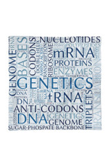 Taie d'oreiller Genetic Word Cloud Basic uniquement
