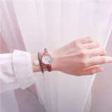 Women's Fashion Watches Daisy Design Ladies Elegant Wristwatches Women's Fashion Watches Daisy Design Ladies Elegant Wristwatches