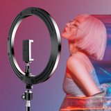 RGB Colorful LED Ring Light 10 Inch Stand 26CM Rainbow Ringlight USB With Phone Stand 16 Light Colors