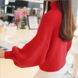 New Women's Coarse Wool Sweater Warm Spring Autumn Winter