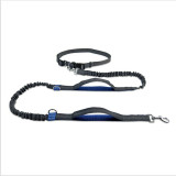 2021 New Reflective Leash Traction Rope Pet Dog Running Belt Elastic Hands Freely Jogging Pull Dog Leash Metal  D-ring Leashes