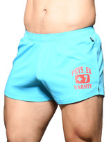 Andrew Christian Phys. Ed. Shorts Aqua 6570