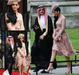 Long Sleeves Celebrity Dresses 2019 V Neck Lace Red Carpet Holidays Wear Formal Evening Party Gowns Plus Size Custom Made