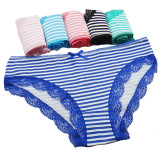 5 Pcs/set Women Underwear Cotton Sexy Everyday Ladies Girls Panties Plus Size Briefs Intimates Lingerie Knickers M-XL