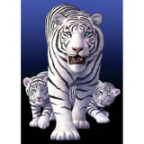 White tiger Diamond Painting