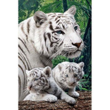 White tiger Diamond Painting