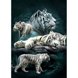 White tiger Diamond Painting