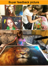 White tiger Diamond Painting