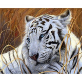 White tiger Diamond Painting