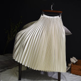 Sherhure 2019 Autumn Women Long Skirts Fashion Brand A-Line Women Pleated Skirts High Waist Women Midi Skirt Faldas Mujer Saias