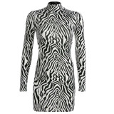 Fashion Sexy Women Bodycon Long Sleeve Zebra Striped Dress Clubwear Print Turtleneck Slim Dress Evening Party Mini Pencil Dress Fashion Sexy Women Bodycon Long Sleeve Zebra Striped Dress Clubwear Print Turtleneck Slim Dress Evening Party Mini Pencil Dress