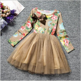 Flower Girl Birthday Dress Wedding Kid's Party Costume