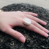 Silver Gold Shell Midi Finger Knuckle Rings