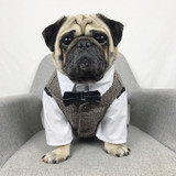 Dog Cat Wedding Party Suits