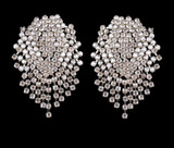 Long Beads Tassel Earrings