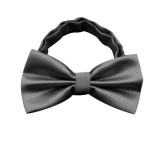 Men's bow tie Fashion Butterfly