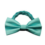 Men's bow tie Fashion Butterfly